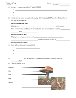 1) What are three characteristics of Protists? P94