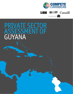 2014 Guyana Private Sector Assessment Report