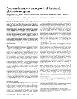 Dynamin-dependent endocytosis of ionotropic