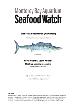 Mahi mahi - Seafood Watch