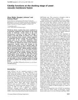 Cdc42p functions at the docking stage of yeast vacuole membrane