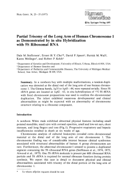 Partial trisomy of the long arm of human chromosome 1 as