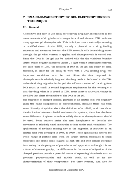 7 dna cleavage study by gel electrophoresis technique