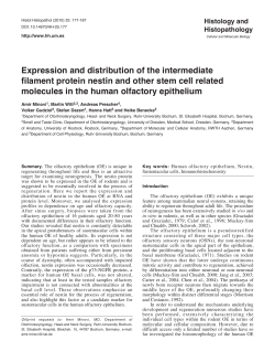 Maquetaci&oacute;n 1 - RWTH