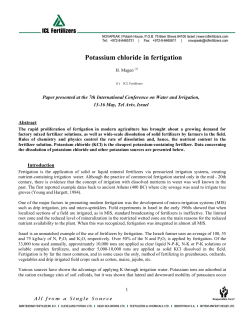 Potassium chloride in fertigation