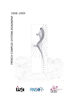 French Roadmap for complex Systems 2008-2009