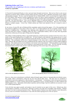 Lightning Strikes and Trees - Treework Environmental Practice