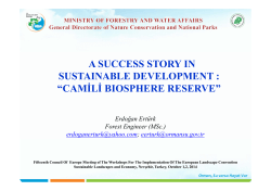 a success story in sustainable development - Coe