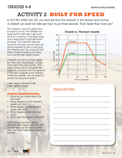 activity 2 built for speed