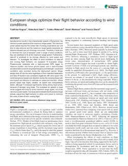 European shags optimize their flight behavior according to wind