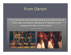 Bases for physical attractiveness: male perspective