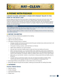 Clean &ndash; "A Picnic With Pizzazz"