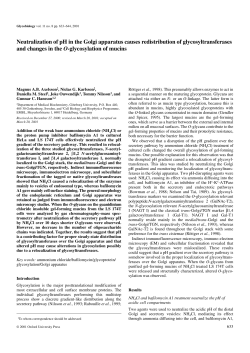 Neutralization of pH in the Golgi apparatus