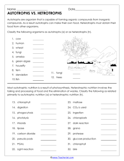 autotrophs vs. hetrotrophs