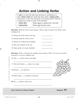 English Grammar Trans_Gr3 SE