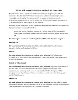 A Sheet with Sample Undertakings for Non