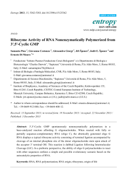 Ribozyme Activity of RNA Nonenzymatically Polymerized