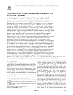 Mesopelagic carbon remineralization during the European Iron