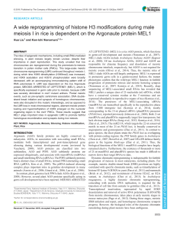 A wide reprogramming of histone H3 modifications during male