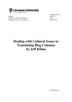 Dealing with Cultural Issues in Translating Blog