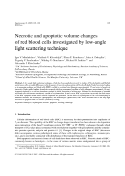 Necrotic and apoptotic volume changes of red blood cells