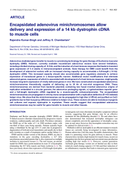 Encapsidated adenovirus minichromosomes allow delivery