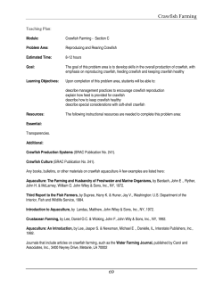 Crawfish Farming - Section C