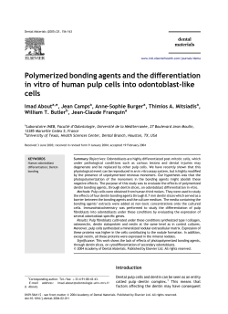 Polymerized bonding agents and the differentiation in vitro of human