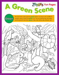 Fun Pages - Zoobooks