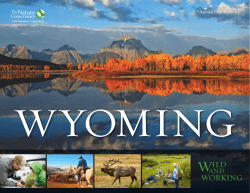 2015 Wyoming Annual Report