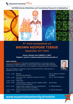 brown adipose tissue - Maastricht University