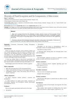 Peer-reviewed Article PDF