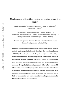 Mechanisms of light harvesting by photosystem II