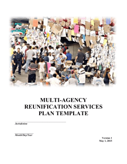 Multi-Agency Reunification Services Plan Template