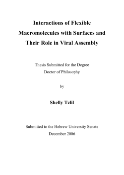 Interactions of Flexible Macromolecules with