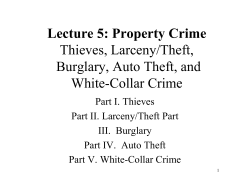 Lecture 5: Property Crime Thieves, Larceny/Theft, Burglary, Auto