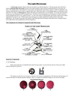 The Light Microscope