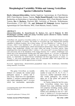 Morphological Variability Within and Among Verticillium
