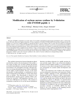 Modification of soybean sucrose synthase by S