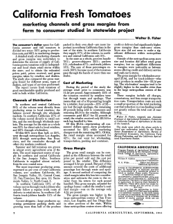 California Fresh Tomatoes marketing channels and gross margins