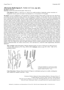 PDF 486 kb - Fungal Planet