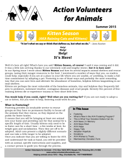 Summer - Action Volunteers for Animals