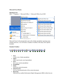Microsoft Excel Basics