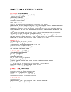 Hampstead conservation area streetscape audit