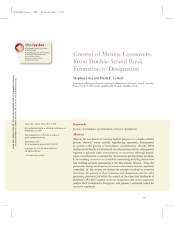 Control of Meiotic Crossovers: From Double