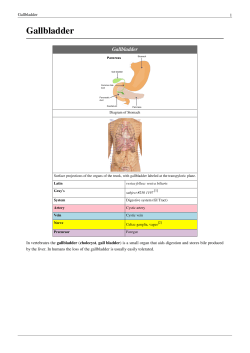 Gallbladder