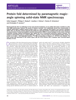 Protein fold determined by paramagnetic magic