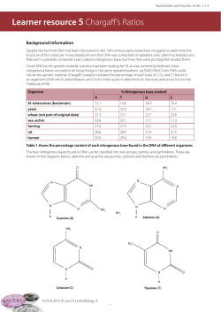 Nucleic Acid