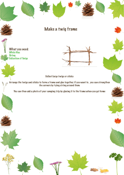 Make a twig frame