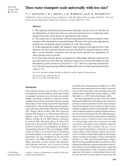 Does water transport scale universally with tree size?